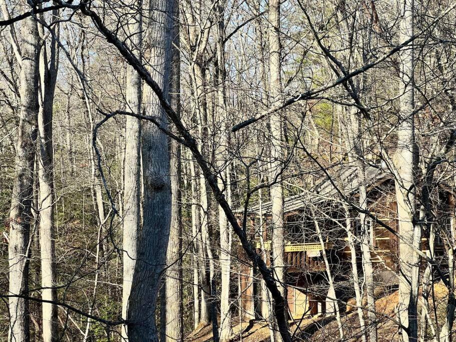 Boozy Bear Bungalow Romantic Cabin 5 Mins 2 Downtown With Hot Tub And Fire Pit Gatlinburg Buitenkant foto